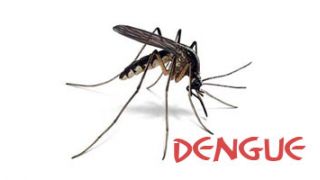 Dengue: Mecanismos que Permitem não Desenvolver os Sintomas após uma infecção pelo vírus