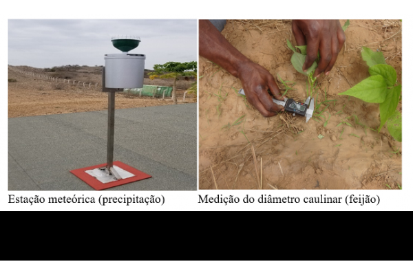 Os benefícios da energia nuclear no desenvolvimento da agricultura angolana