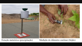 Os benefícios da energia nuclear no desenvolvimento da agricultura angolana